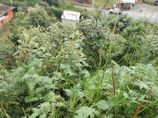 Foto 12 de VENDO TERRENO SECTOR MINDO, AMPLIO IDEAL PARA SUS DIAS EN FAMILIA FUERA DE LA GRAN CIUDAD