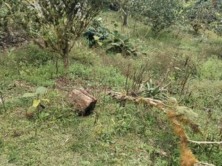 Foto 8 de VENDO TERRENO SECTOR MINDO, AMPLIO IDEAL PARA SUS DIAS EN FAMILIA FUERA DE LA GRAN CIUDAD