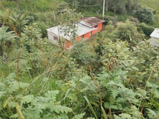 Foto 13 de VENDO TERRENO SECTOR MINDO, AMPLIO IDEAL PARA SUS DIAS EN FAMILIA FUERA DE LA GRAN CIUDAD