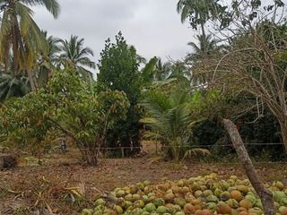 Foto 4 de Venta de Finca Pequeña en Portoviejo Manabi