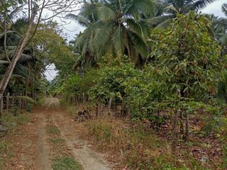 Foto 3 de Venta de Finca Pequeña en Portoviejo Manabi