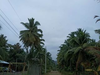 Foto 6 de Venta de Finca Pequeña en Portoviejo Manabi