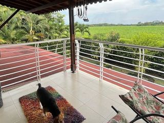Foto 4 de ARRIENDO CASA EN LA MORADA A LAS AFUERAS DE CALI VALLE DEL CAUCA