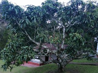 Foto 20 de Casa en Venta en Silvania Tibacuy Fusagasuga