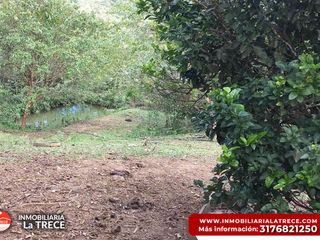 Foto 7 de Se vende Finca con 2 glamping, casa en bareque en la parte alta de Media canoa vereda el Delirio YOTOCO - VALLE.