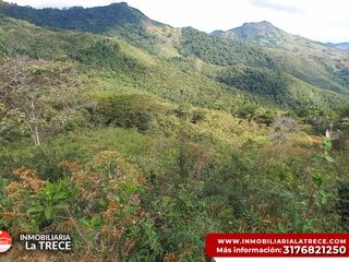 Foto 10 de Se vende Finca con 2 glamping, casa en bareque en la parte alta de Media canoa vereda el Delirio YOTOCO - VALLE.