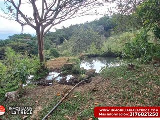 Foto 8 de Se vende Finca con 2 glamping, casa en bareque en la parte alta de Media canoa vereda el Delirio YOTOCO - VALLE.