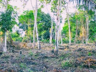 OCASION Venta Terreno Tarapoto - Zona La Banda Shilcayo Proyecto Urbano Agrícola