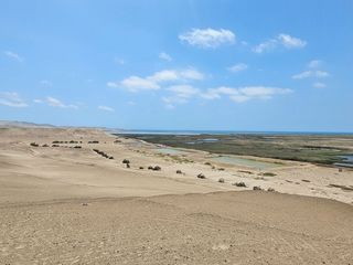 Foto 25 de LOTES CAMPESTRES EN LA MEJOR ZONA DE HUACHO POR LA PLAYA Y HUMEDAL DE PARAÍSO