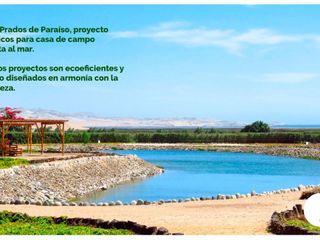 Foto 7 de LOTES CAMPESTRES EN LA MEJOR ZONA DE HUACHO POR LA PLAYA Y HUMEDAL DE PARAÍSO