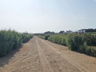 Foto 27 de LOTES CAMPESTRES EN LA MEJOR ZONA DE HUACHO POR LA PLAYA Y HUMEDAL DE PARAÍSO