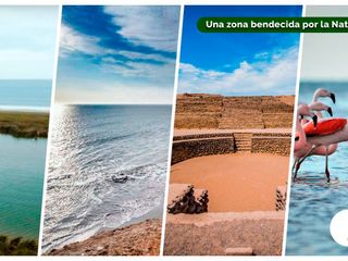 Foto 2 de LOTES CAMPESTRES EN LA MEJOR ZONA DE HUACHO POR LA PLAYA Y HUMEDAL DE PARAÍSO