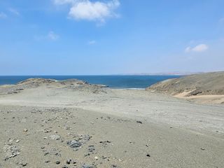 Foto 17 de LOTES CAMPESTRES EN LA MEJOR ZONA DE HUACHO POR LA PLAYA Y HUMEDAL DE PARAÍSO