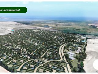Foto 15 de LOTES CAMPESTRES EN LA MEJOR ZONA DE HUACHO POR LA PLAYA Y HUMEDAL DE PARAÍSO