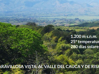Lotes campestres en Cerritos desde $590.471.200