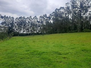 Foto 11 de QUINTA en venta, Amaguaña, 49.533m2, plano, con potreros casa, servicios