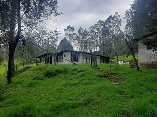QUINTA en venta, Amaguaña, 49.533m2, plano, con potreros casa, servicios