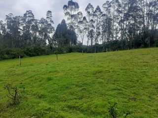 Foto 7 de QUINTA en venta, Amaguaña, 49.533m2, plano, con potreros casa, servicios