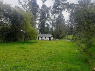 Foto 5 de QUINTA en venta, Amaguaña, 49.533m2, plano, con potreros casa, servicios