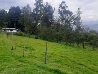 Foto 10 de QUINTA en venta, Amaguaña, 49.533m2, plano, con potreros casa, servicios