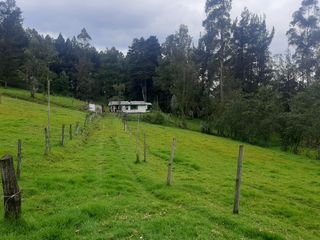 Foto 9 de QUINTA en venta, Amaguaña, 49.533m2, plano, con potreros casa, servicios