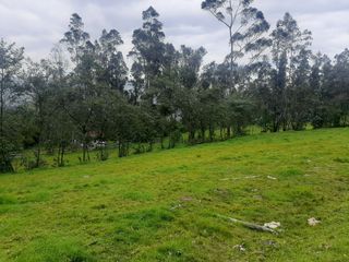 Foto 8 de QUINTA en venta, Amaguaña, 49.533m2, plano, con potreros casa, servicios