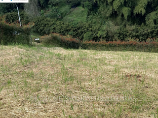Foto 8 de LOTE EN VENTA EN CONDOMINIO CAMPESTRE SANTA ROSA DECABAL SECTOR LEMBO