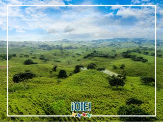 Foto 1 de Se Vende: Finca agrícola/ganadera bien explotada en Las piedras de Mongolla, Chone