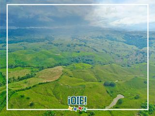 Foto 2 de Se Vende: Finca agrícola/ganadera bien explotada en Las piedras de Mongolla, Chone