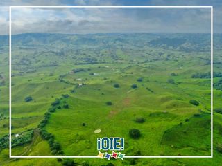Foto 3 de Se Vende: Finca agrícola/ganadera bien explotada en Las piedras de Mongolla, Chone