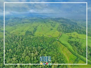 Foto 4 de Se Vende: Finca agrícola/ganadera bien explotada en Las piedras de Mongolla, Chone