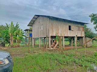 Foto 7 de Se Vende: Finca agrícola/ganadera bien explotada en Las piedras de Mongolla, Chone