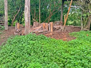 Foto 21 de Se Vende: Finca agrícola/ganadera bien explotada en Las piedras de Mongolla, Chone