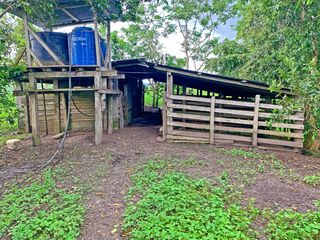 Foto 22 de Se Vende: Finca agrícola/ganadera bien explotada en Las piedras de Mongolla, Chone
