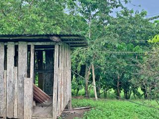Foto 26 de Se Vende: Finca agrícola/ganadera bien explotada en Las piedras de Mongolla, Chone
