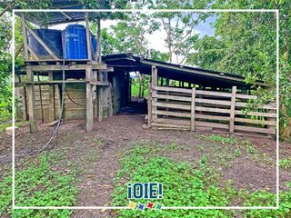 Foto 32 de Se Vende: Finca agrícola/ganadera bien explotada en Las piedras de Mongolla, Chone