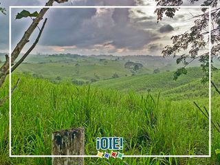 Foto 34 de Se Vende: Finca agrícola/ganadera bien explotada en Las piedras de Mongolla, Chone