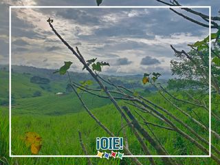 Foto 35 de Se Vende: Finca agrícola/ganadera bien explotada en Las piedras de Mongolla, Chone