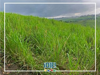 Foto 38 de Se Vende: Finca agrícola/ganadera bien explotada en Las piedras de Mongolla, Chone