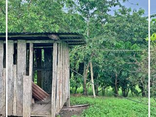 Foto 46 de Se Vende: Finca agrícola/ganadera bien explotada en Las piedras de Mongolla, Chone