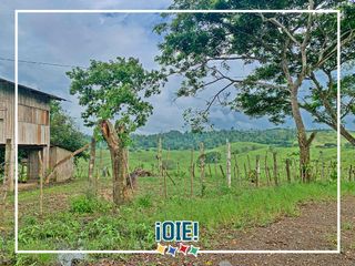 Foto 53 de Se Vende: Finca agrícola/ganadera bien explotada en Las piedras de Mongolla, Chone