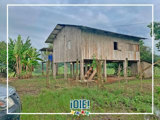 Foto 54 de Se Vende: Finca agrícola/ganadera bien explotada en Las piedras de Mongolla, Chone