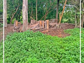 Foto 56 de Se Vende: Finca agrícola/ganadera bien explotada en Las piedras de Mongolla, Chone