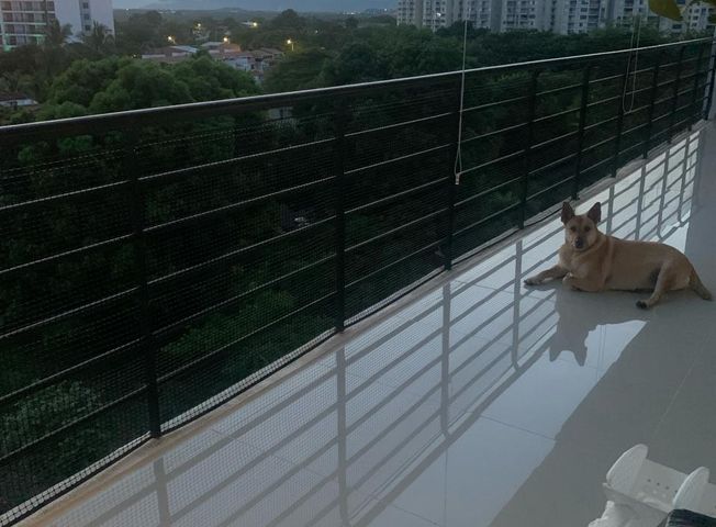 place photo 5