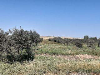 Foto 3 de Terreno Agricola en venta en Pisco