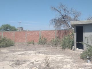 Foto 8 de LOCAL EN VENTA O ALQUILER- ZONA INDUSTRIAL- PIURA