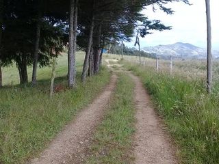 Terreno de venta en Tarqui Gullanzhapa hasta 6 hectáreas ideal para quinta o hacienda