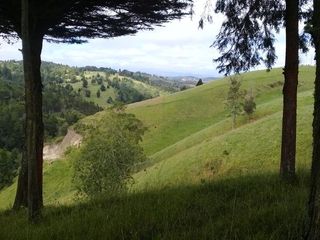 Terreno de venta en Tarqui Gullanzhapa hasta 6 hectáreas ideal para quinta o hacienda