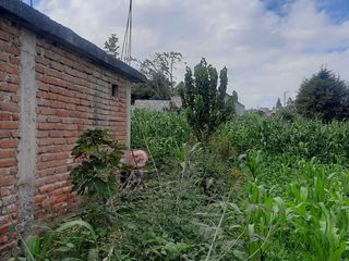 Foto 4 de CHECA, vendo terreno 1.500m, con casa y local comercial, servicios básicos