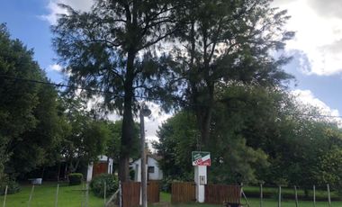 similar_image